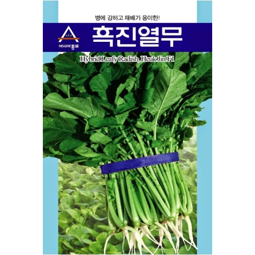 (아시아종묘/열무씨앗종자) 흑진열무 (600g)