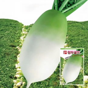 아시아종묘 무씨앗종자 청두골드무(2000립)