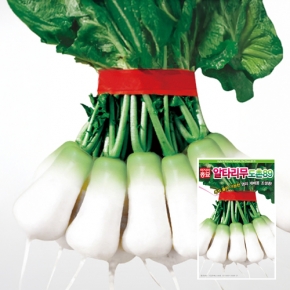 아시아종묘 무씨앗종자 도촌89 알타리(500g)