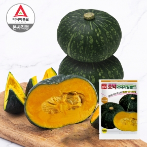 아시아종묘 단호박씨앗종자 아지지망골드(400립)