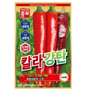 아시아종묘 고추씨앗 칼라강탄(1200립)