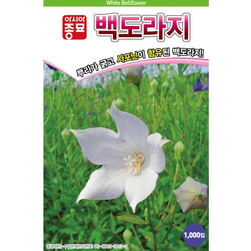 백도라지씨앗종자 백도라지(100g)