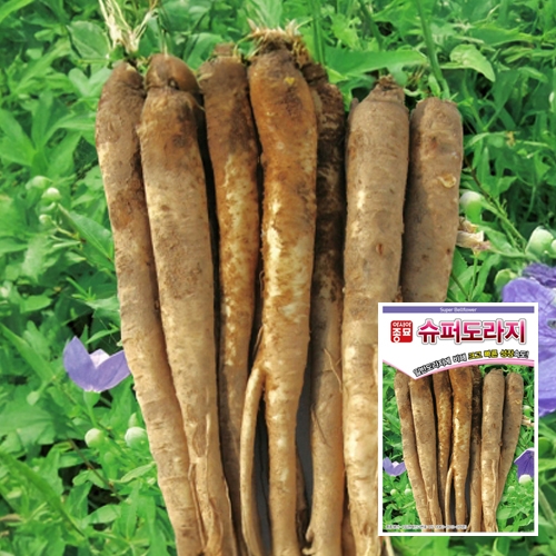 도라지씨앗종자 슈퍼도라지(6g)