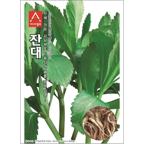 잔대씨앗종자 잔대 (500g)