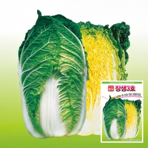 아시아종묘 배추씨앗종자 장생3호 배추(1000립)