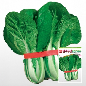 아시아종묘 배추씨앗종자 만수무강 엇갈이배추(20g)