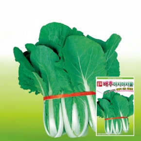 아시아종묘 배추씨앗종자 아시아서울배추(20g) 재래종