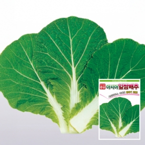 아시아종묘 배추씨앗종자 아시아 잎쌈배추(500립)