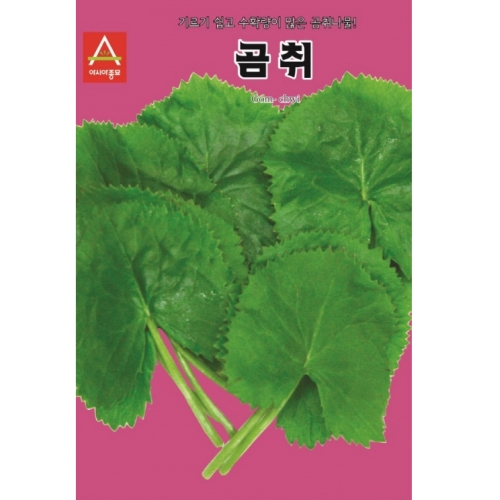 아시아종묘/곰취씨앗종자 곰취(400g)