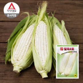 아시아종묘 옥수수씨앗 종자 흰 찰옥수수 찰옥4호 35g