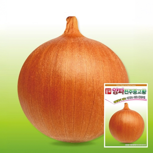 아시아종묘 양파씨앗종자 천주중고황(100g)