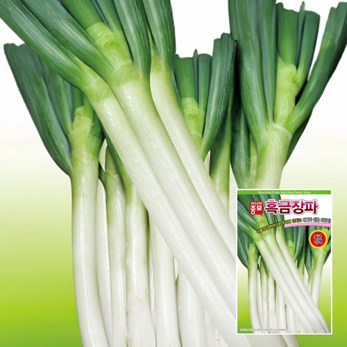 파종자씨앗 아시아흑금장파(80g)