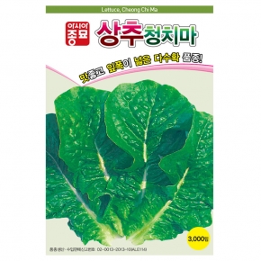 아시아종묘 상추종자씨앗 청치마(3000립)