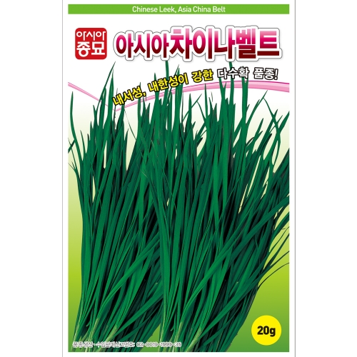 (부추종자씨앗) 차이나벨트(20g)