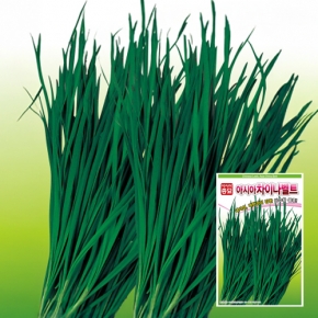 아시아종묘 부추종자씨앗 차이나벨트(20g)