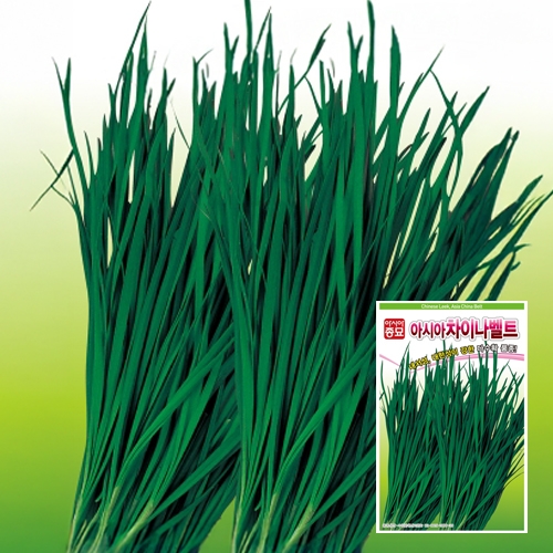 아시아종묘 부추종자씨앗 차이나벨트(450g)