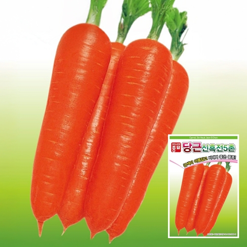 당근종자씨앗 신흑전5촌(400g)