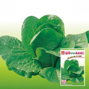 상추종자씨앗 아시아흑로메인(6천립,6만립)