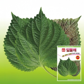 아시아종묘 쌈씨앗종자 아시아잎들깨(500g)