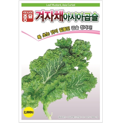 아시아종묘 겨자종자씨앗 청곱슬겨자(2000립)