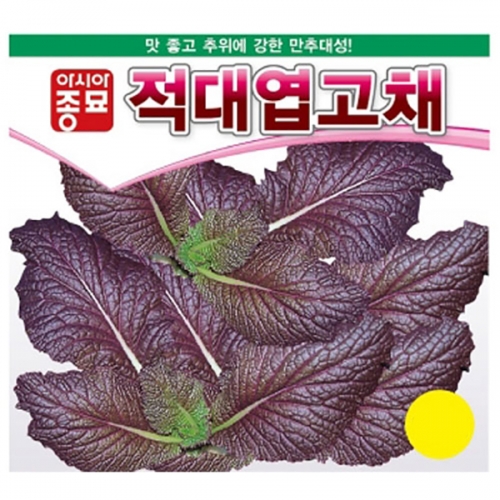 아시아종묘 겨자종자씨앗 적겨자-적대엽고채(10g) 전문농가용