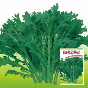 아시아종묘 쑥갓종자씨앗 아시아 중엽쑥갓(15g)