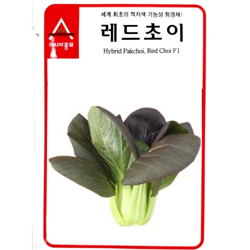 (청경채종자씨앗) 레드쵸이(120g)