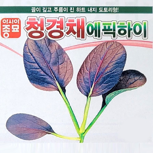 아시아종묘 청경채종자씨앗 에픽하이(500립)