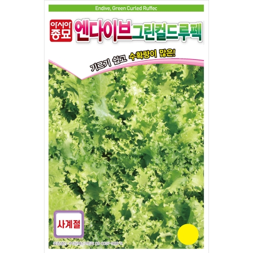 아시아종묘 치커리종자씨앗 엔다이브-그린컬드루펙(1500립)