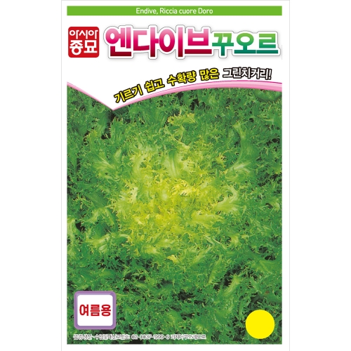 아시아종묘 치커리종자씨앗 엔다이브 꾸오르(1500립)