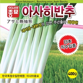 아시아종묘 파종자씨앗 아사히반추(80g,400g)