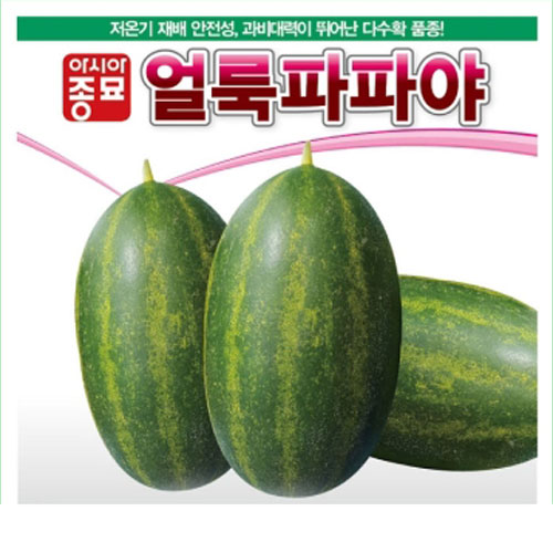 아시아종묘 멜론씨앗종자 얼룩파파야(10립)