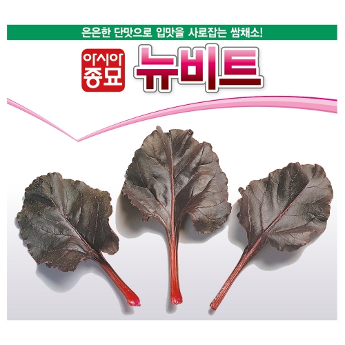 아시아종묘/비트종자씨앗 뉴비트(250g)