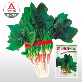 아시아종묘/시금치종자씨앗 수시로시금치(20g)