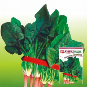아시아종묘/시금치종자씨앗 수시로시금치(400g)
