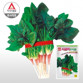 아시아종묘/시금치종자씨앗 수시로시금치(400g)