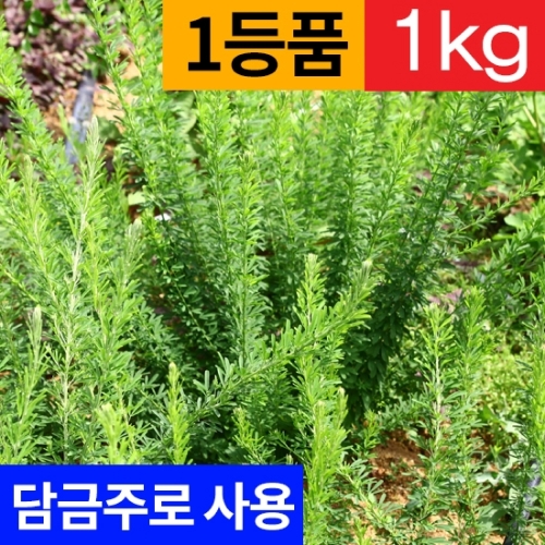 야관문 생초(1kg) (생즙/발효/술담금사용) A24