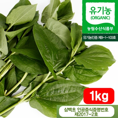 삼백초 생초(1kg) (건초,발효액,술담금사용) A24