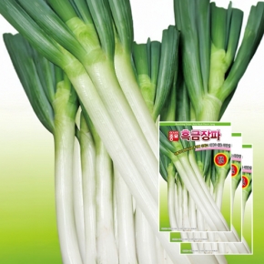 파종자씨앗 아시아흑금장파(10gx3)