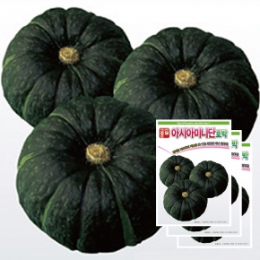 아시아종묘 단호박씨앗종자 아시아미니단호박(10립x3)