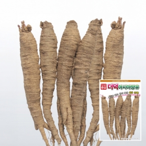 아시아종묘/더덕씨앗종자 더덕&middot;양유(300g)