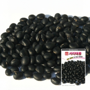아시아종묘 콩씨앗종자 서리태 검은콩(50g)