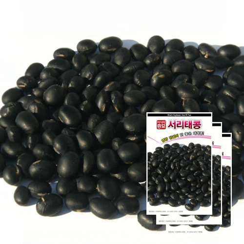 아시아종묘 콩씨앗종자 서리태 검은콩(50gx3)