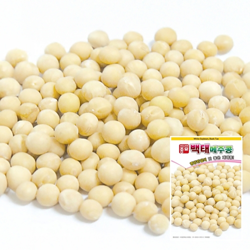 아시아종묘 콩씨앗종자 백태 메주콩(1kg)