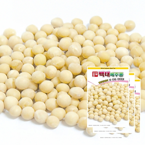 아시아종묘 콩씨앗종자 백태 메주콩(50gx3)