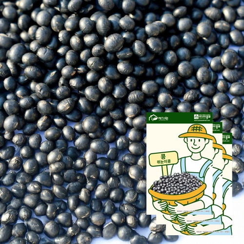 아시아종묘 콩씨앗종자 쥐눈이콩(50gx3)