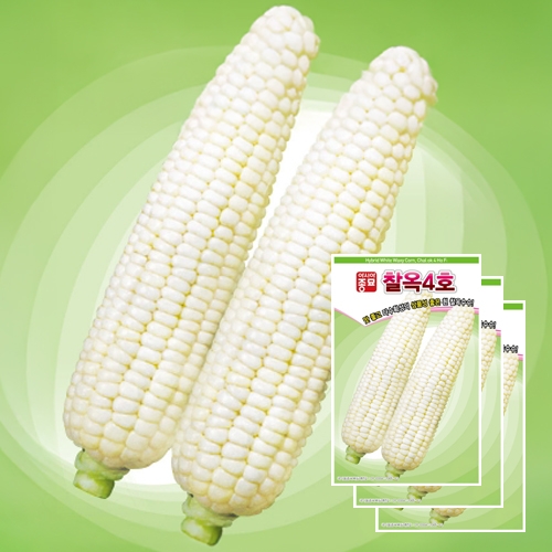 아시아종묘 옥수수종자씨앗 찰옥4호(35gx3)