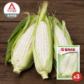 아시아종묘 옥수수씨앗 종자 흰 찰옥수수 찰옥4호 35gx3개