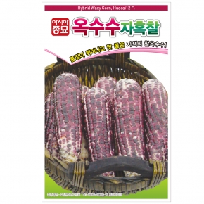 (아시아종묘/옥수수종자씨앗) 자흑찰옥수수(30g)