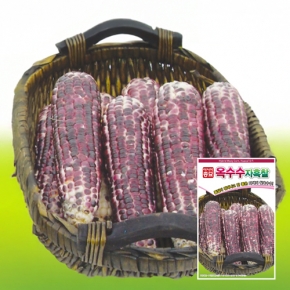 아시아종묘 옥수수종자씨앗 자흑찰옥수수(700g)
